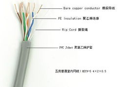 廣東揭陽網(wǎng)線廠 出廠價直供超五類、六類網(wǎng)線，專業(yè)定制網(wǎng)絡線纜解決方案
