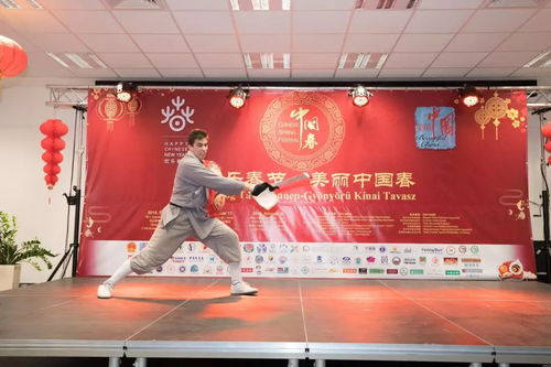 中國年文化在匈牙利綻放奇花, 歡樂春節(jié) 美麗中國春 活動現(xiàn)場人潮涌動 精彩視頻集錦 高清圖組